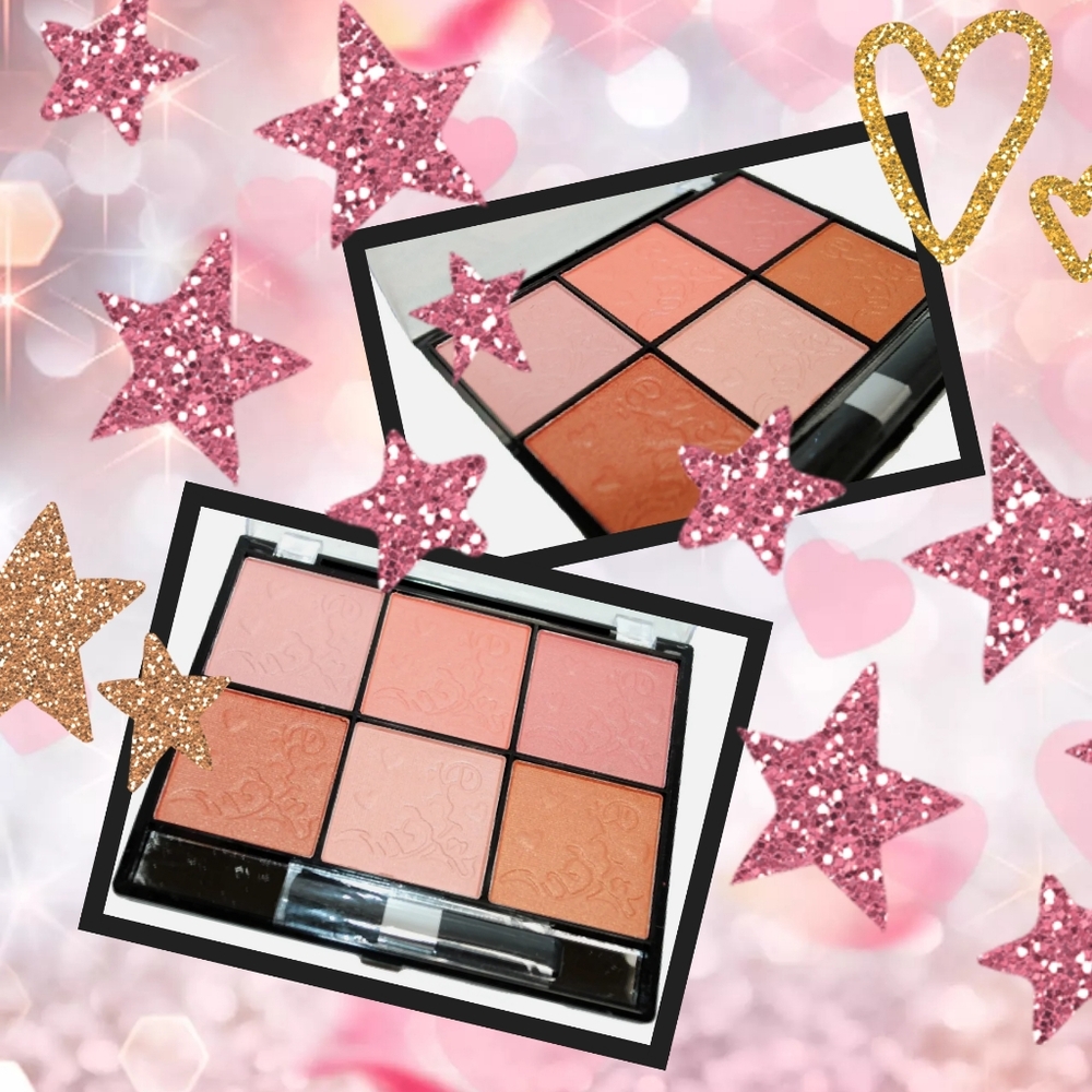🦋 6 Shade Contour, Bronzer and Blush #Fair1911